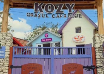 KOZY House